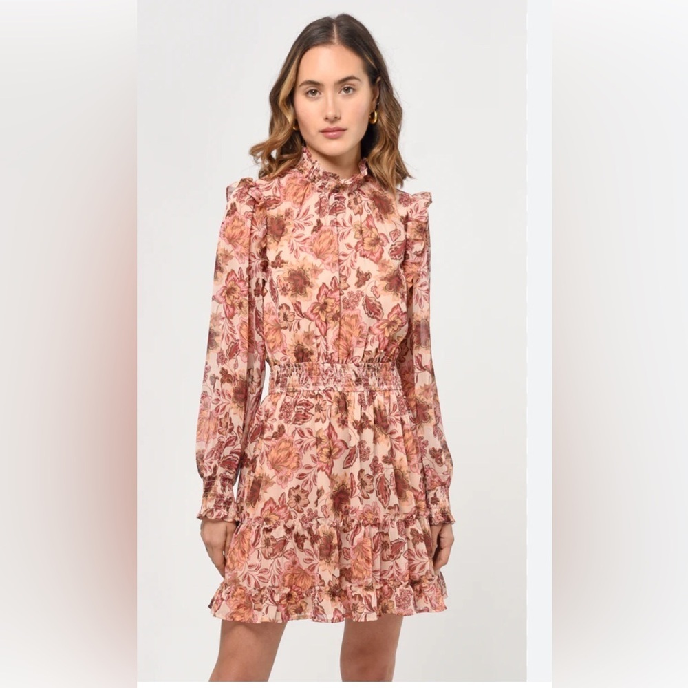 Anthropologie Greylin Floral Ruffle Smocked Waist Dress XS - Picture 1 of 10